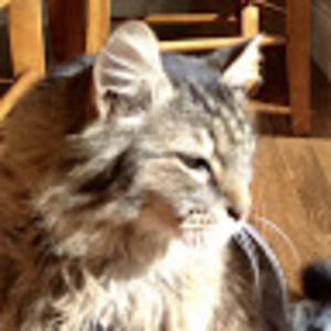 Meet your Posher, Madelyn